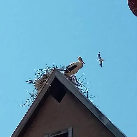 Apartmán La Legende Des 2 Pierres Eguisheim
