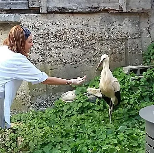 La Legende Des 2 Pierres *